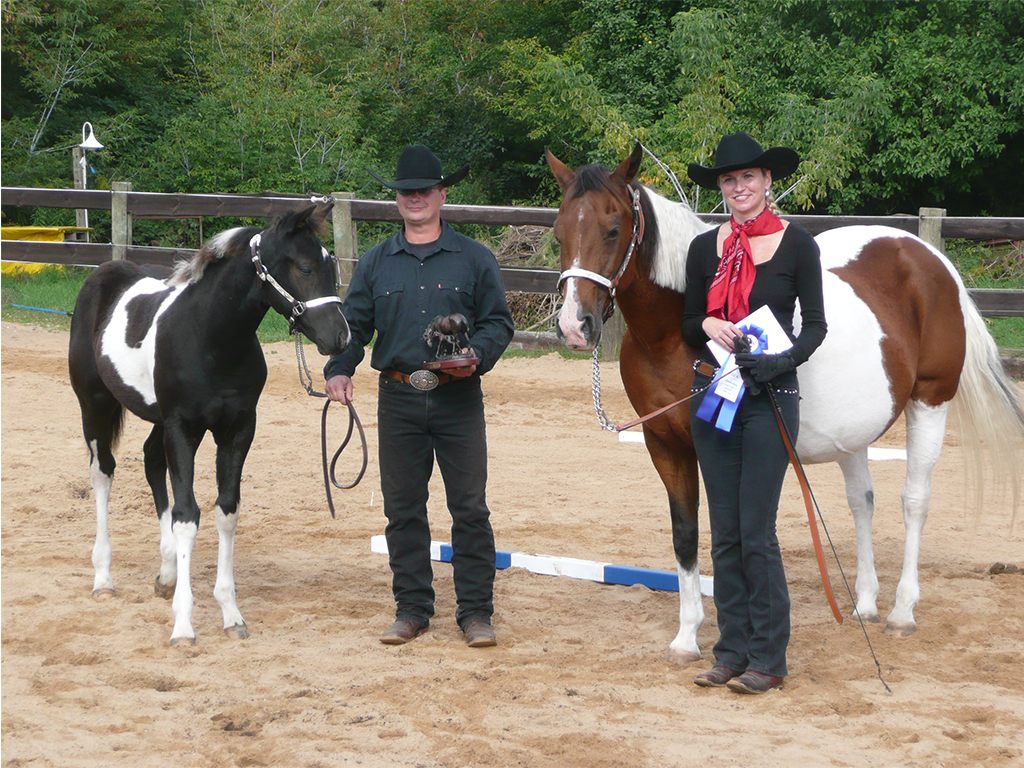 Neuer Champion für die MQ Ranch! Paint Horse MQ Virgil Earp hat die Fohlenschau Berlin Brandenburg gewonnen! erster Platz