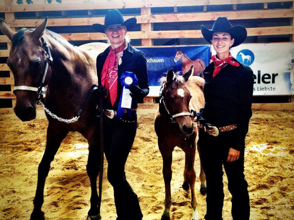Gewinner der Pferdeschau in Berlin/ Brandenburg: Das Ranch-Stutfohlen MQ Mini Pearl, ein echtes Quarterhorse Gewinner Pferdeschau