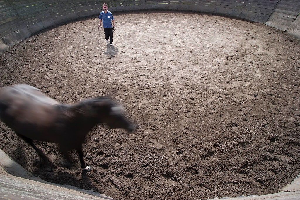 Manager- und Führungskräftetraining mit dem Pferd als Einzel-Coaching auf der MQ Ranch Manager- und Führungskräftetraining mit dem Pferd als Einzel-Coaching auf der MQ Ranch