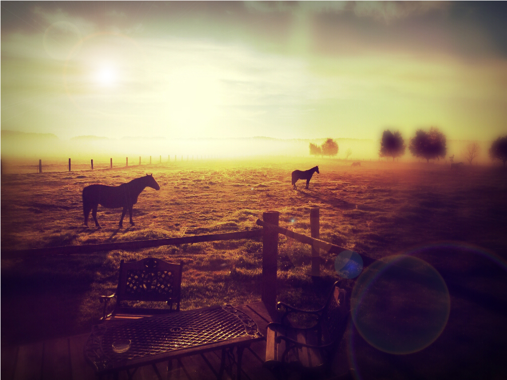 Heute sonnig bis romantisch: Sonnenaufgang über den Weiden Berlin / Brandenburgs. Die MQ Ranch ist sich sicher: Der Wilde Westen liegt eigentlich in Deutschland... mqvirgil